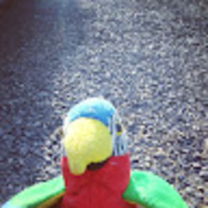 Meet your Posher, Jim